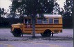 bus scolaire typiquement amricain, comme dans les films !